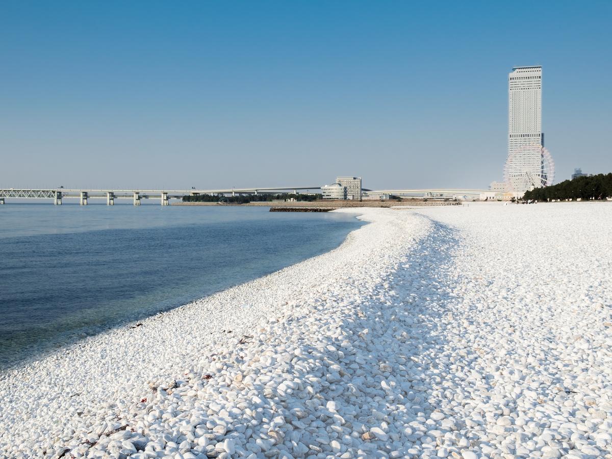 The Premium Hotel In Rinku Izumisano Exterior foto